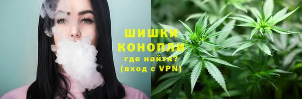 стафф Каменногорск