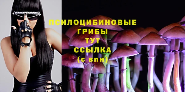 эйфоретик Волоколамск