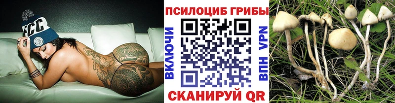 Галлюциногенные грибы Cubensis  Воркута 